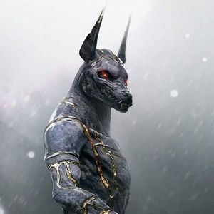 Meet your Posher, Miguel